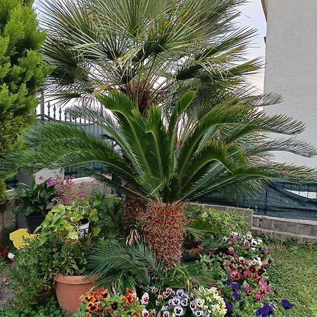 Bed And Breakfast Angolo Fiorito Civitavecchia Extérieur photo