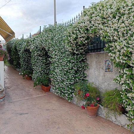 Bed And Breakfast Angolo Fiorito Civitavecchia Extérieur photo