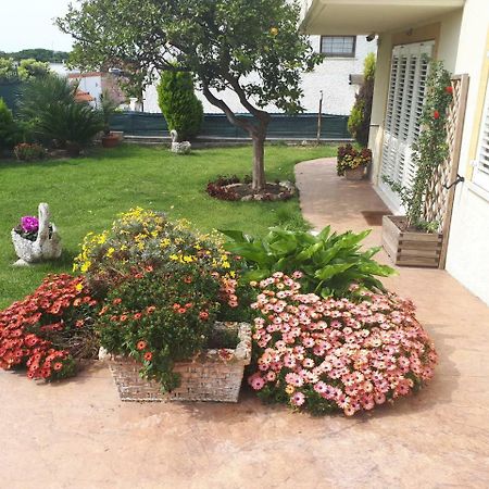 Bed And Breakfast Angolo Fiorito Civitavecchia Extérieur photo