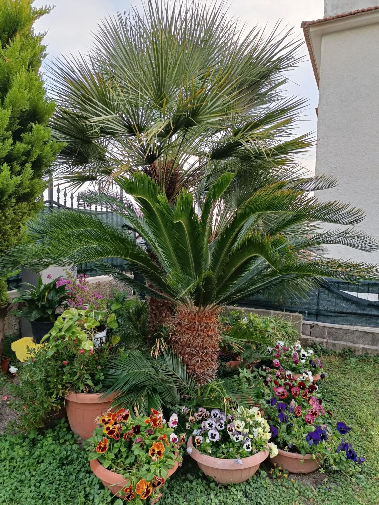 Bed And Breakfast Angolo Fiorito Civitavecchia Extérieur photo