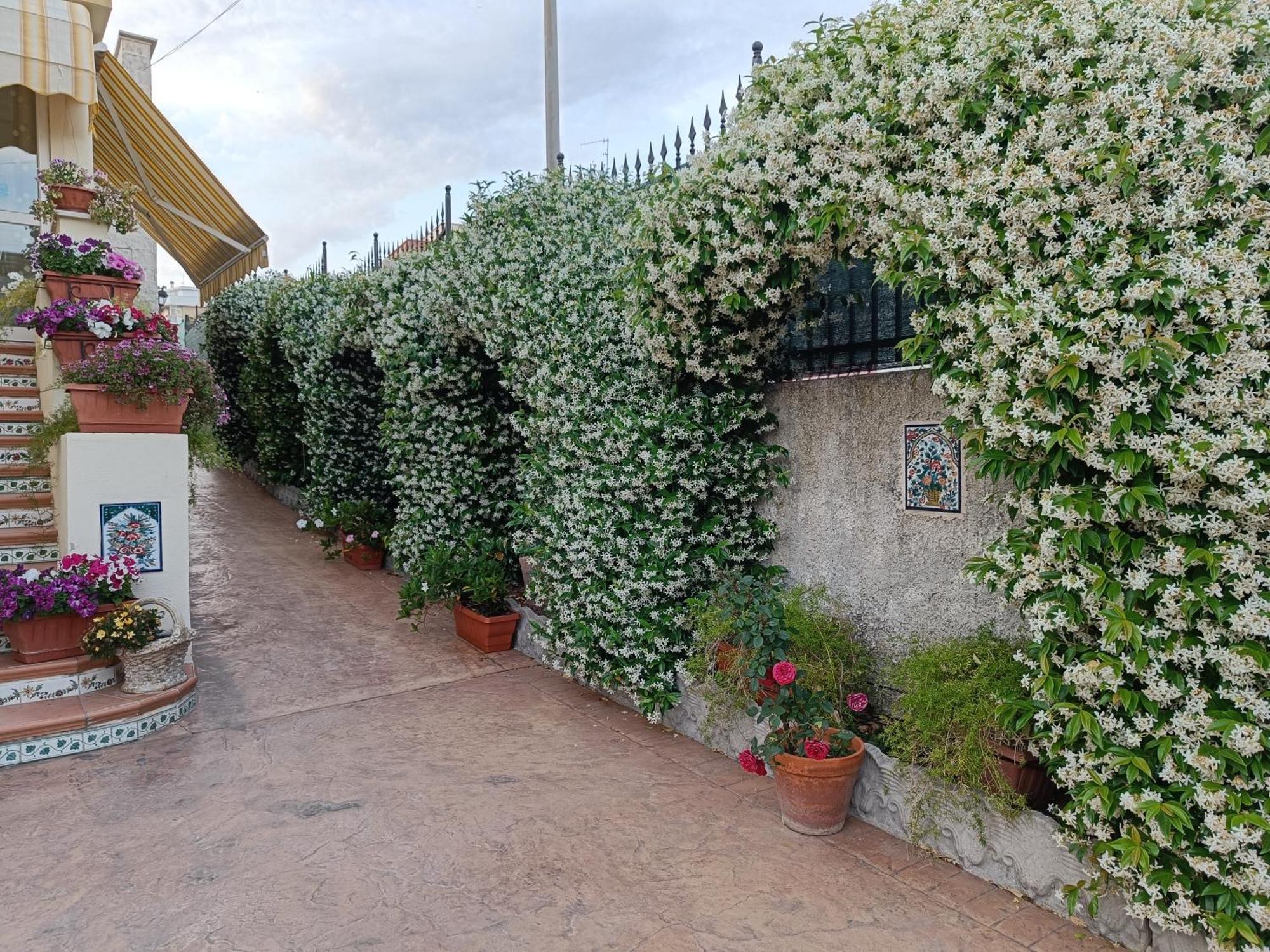 Bed And Breakfast Angolo Fiorito Civitavecchia Extérieur photo