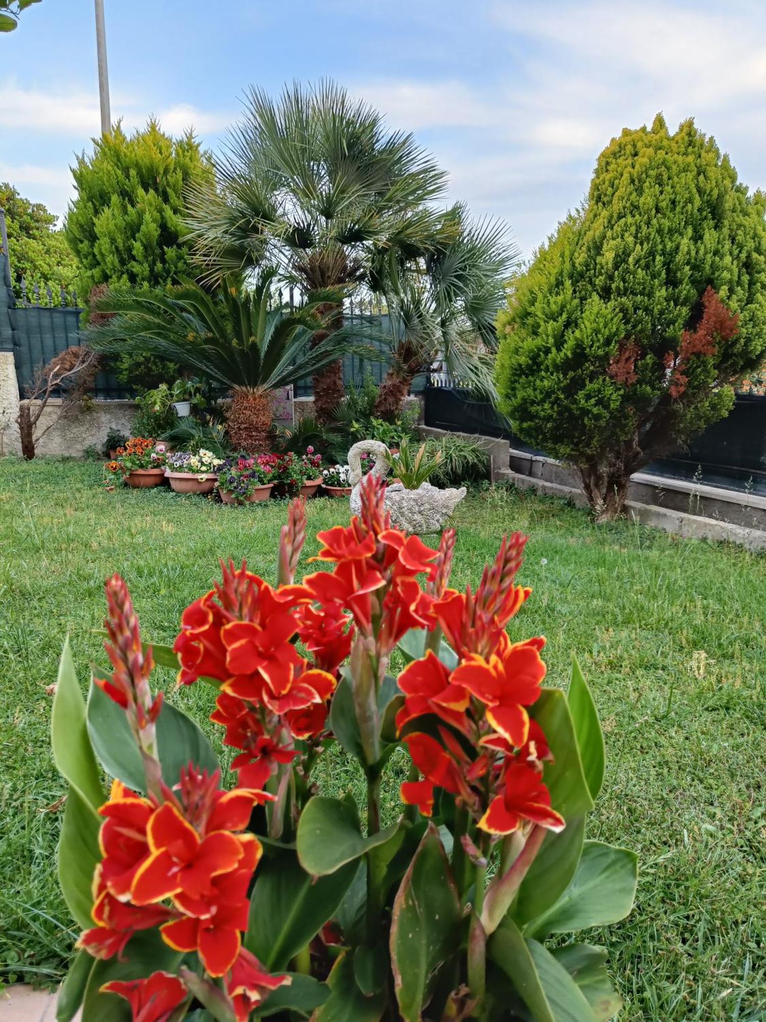 Bed And Breakfast Angolo Fiorito Civitavecchia Extérieur photo